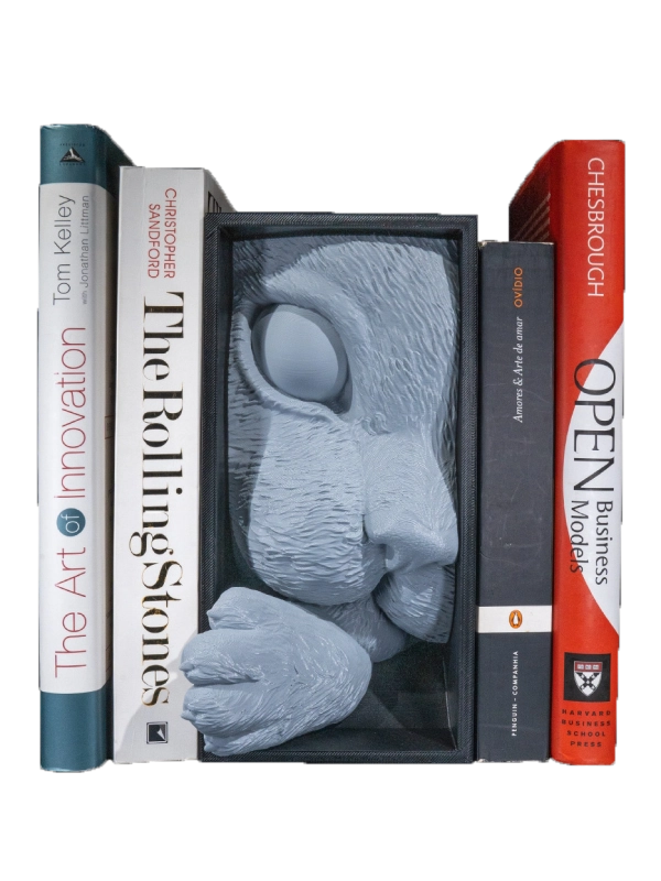 Cat’s BookNook