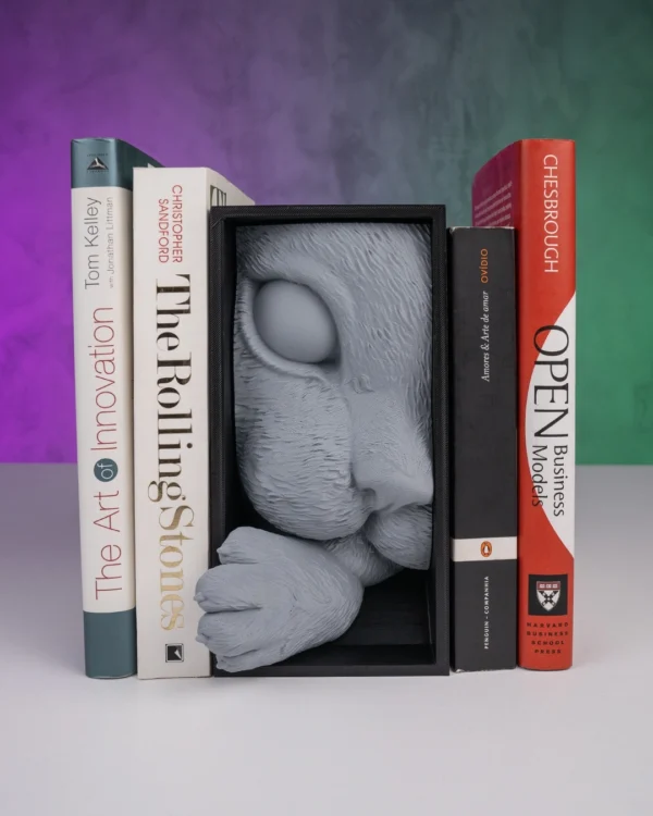 Cat’s Curiosity Book Nook 