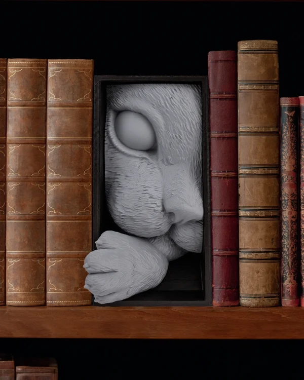 Cat’s Curiosity Book Nook 