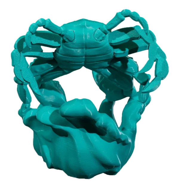 Cancer Zodiac